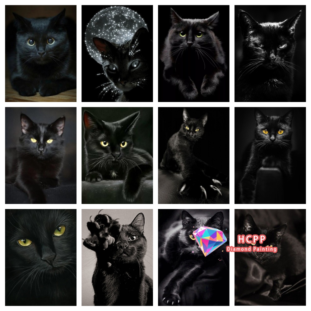Resin Art Work - unframe Black Cat Animal Diamond Painting