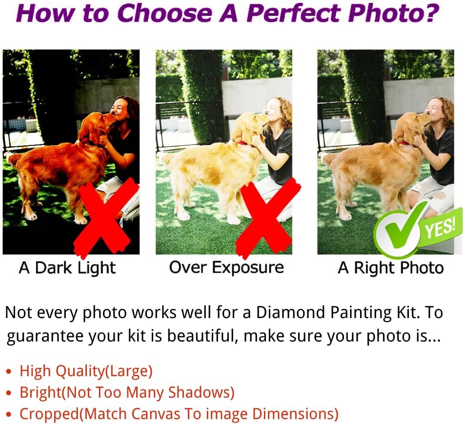 Custom Diamond Art Painting Ki - Resin Art Kits For Adults のレビューと価格