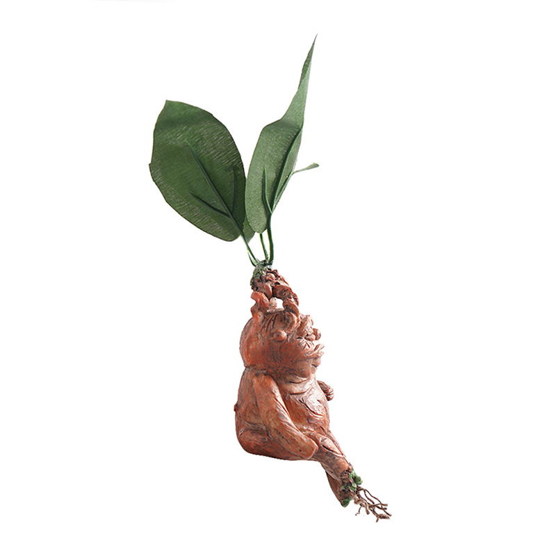 1PCS Mandrake Grass Resin Stat - Resin Art Gift For Anniversary のレビューと価格