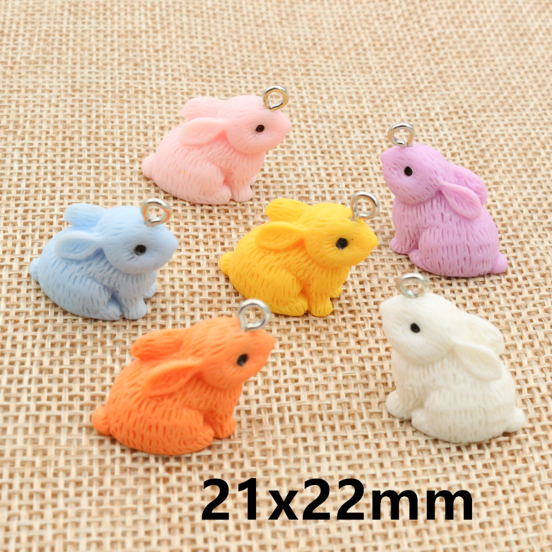 10PCS Resin Pendant Charms Rab - Resin Art Essentials のレビューと価格